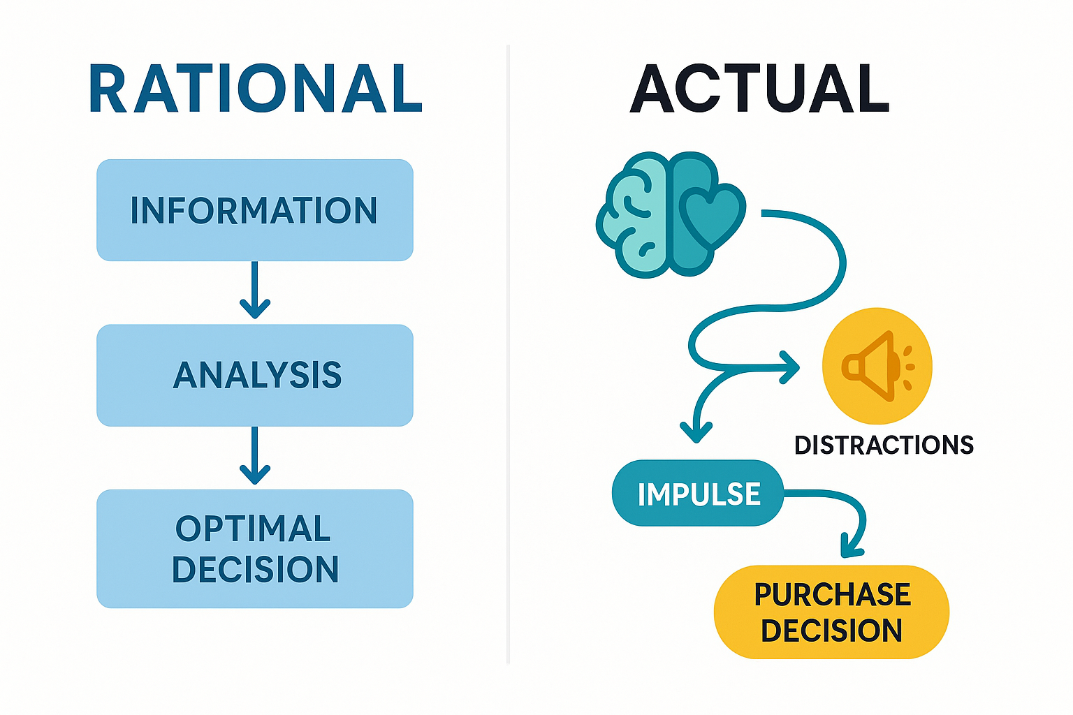 Rational vs. Actual Decision-Making